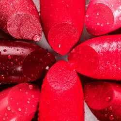 Quam temporibus repudiandae iste neque quia voluptate tenetur ut.