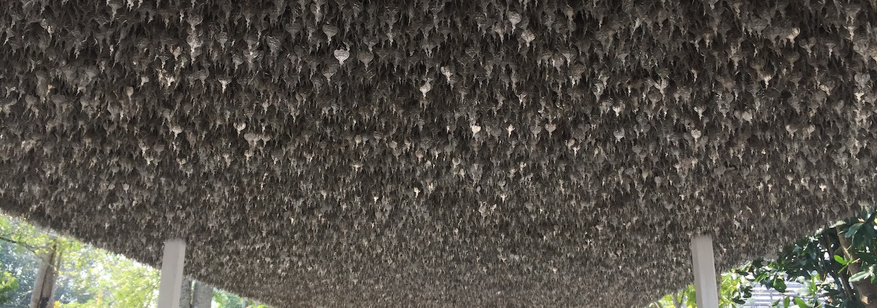 Magni laborum corporis deserunt neque.